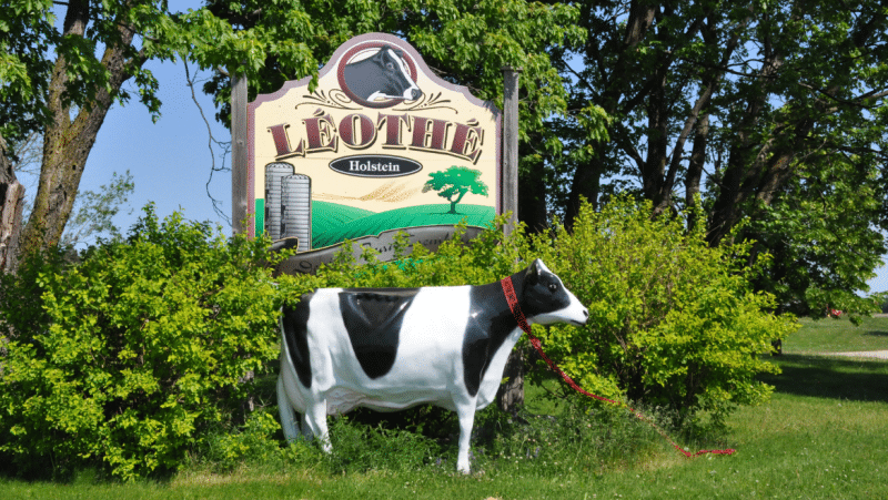 LÉOTHÉ DAIRY FARM