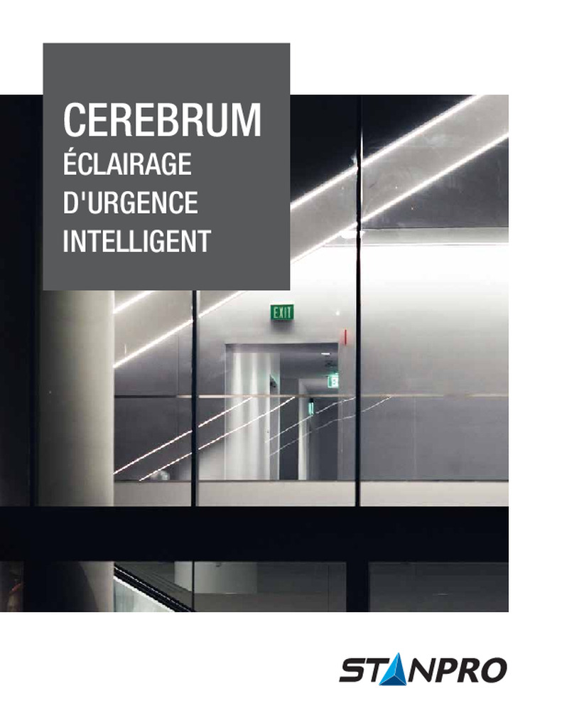 Brochure CEREBRUM